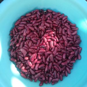 Kidney beans